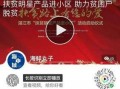 海洋最新爆料新闻报道,揭秘深海神秘现象与未知生物