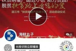 海洋最新爆料新闻报道,揭秘深海神秘现象与未知生物