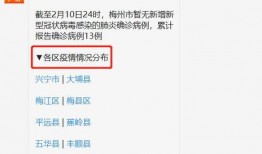 梅州最新爆料消息疫情情况,多区现新增病例，防控措施升级中”