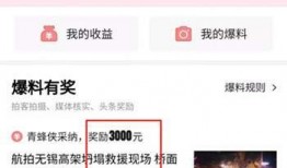 头条最新爆料的文章,揭秘最新爆料背后的惊人真相！
