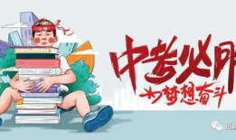 最新沙漠爆料消息今天视频,揭秘神秘遗迹背后的历史秘密