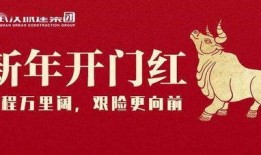 武汉城建最新爆料新闻,揭秘城市更新背后的故事